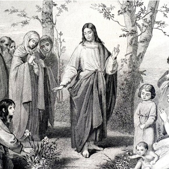 Christ Lilies Of The Field Steel Engraving 1871 Victorian Bible Religious DWY5B - Picture 1 of 3